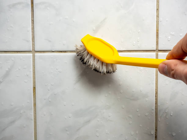 Best Local Mold Removal Service  in Lexington, MN